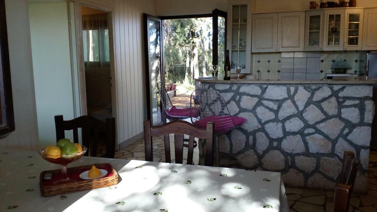 Apartments Vera - Mirca Mirca  Экстерьер фото